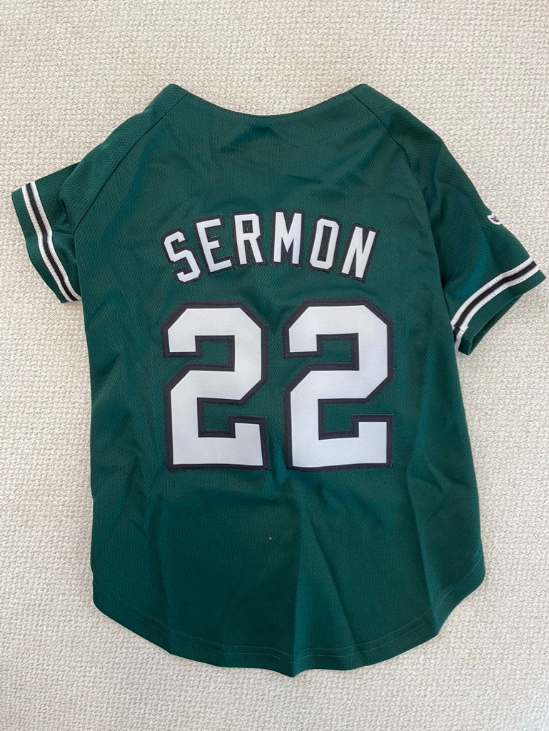 Custom Dog Jersey