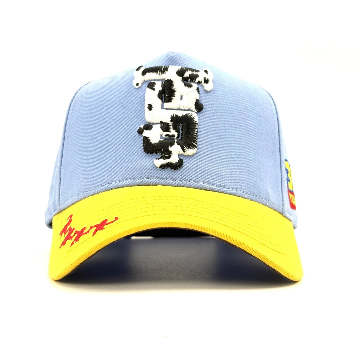 "Friend in Us” 30th Anniversary Cap