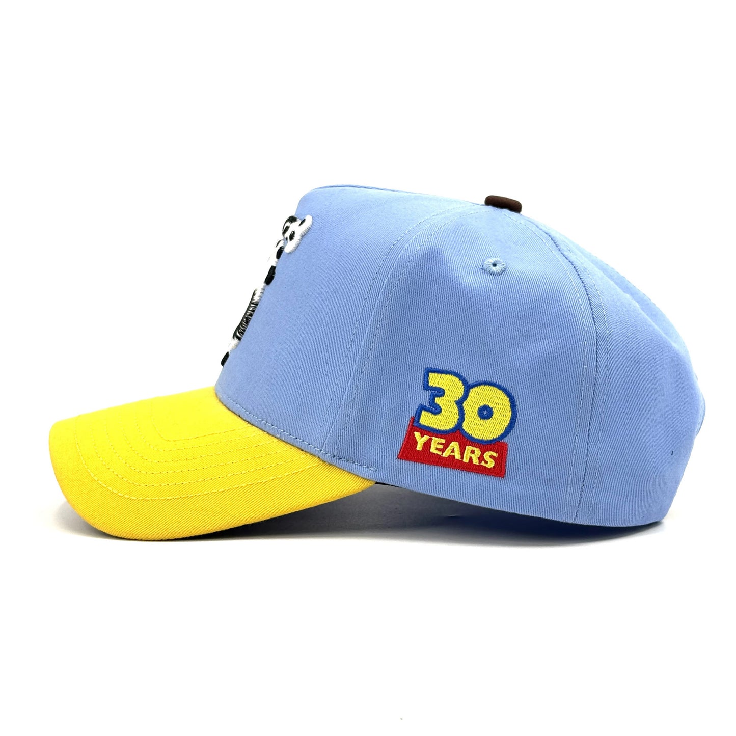 "Friend in Us” 30th Anniversary Cap